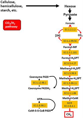 Addressing Global Ruminant Agricultural Challenges Through Understanding the Rumen Microbiome: Past, Present, and Future